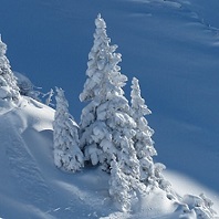 Sneg - White as snow in Serbian