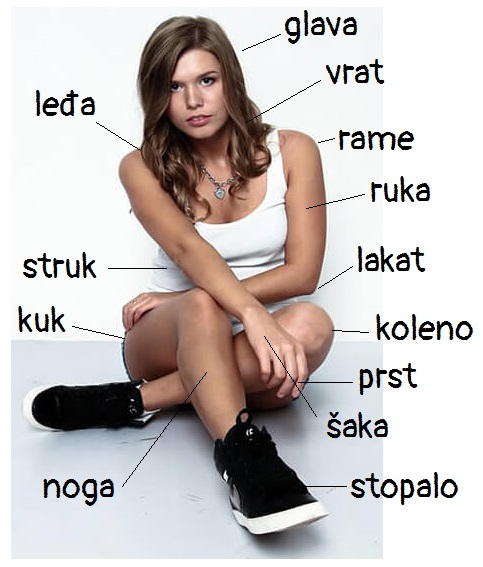 Telo (body) 2