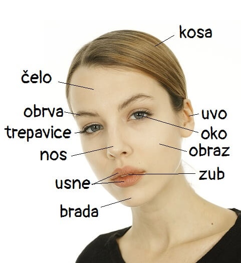Telo (body) 1