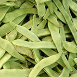 Povrće (Vegetables) 18