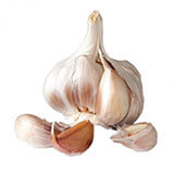 Povrće (Vegetables) 15