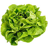 Povrće (Vegetables) 1