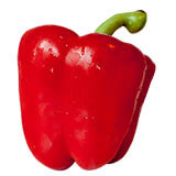 Povrće (Vegetables) 11