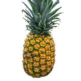 Voće (Fruits) 19