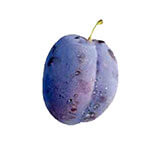 Plum in Serbian Language