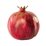 Voće (Fruits) 20