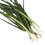 Povrće (Vegetables) 16