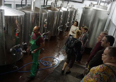 Vinski podrum - Letnja škola srpskog jezika Serbonika